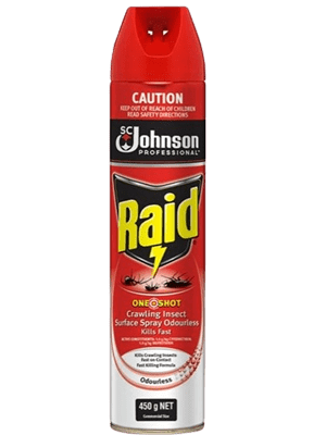 Raid One Shot Crawling Insect Killer Odourless G Briskleen Supplies