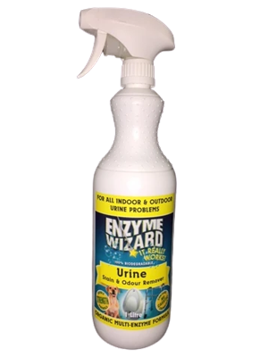 Enzyme cleaner outlet for urine